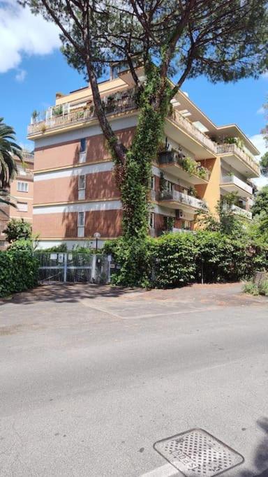 Monolocale- 25sq M * Rom